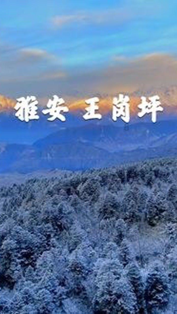为什么说电线杆挖坑机的油不易加的过满游戏画面